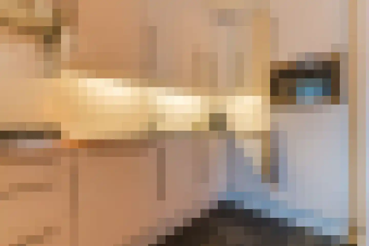 Parallelweg 15 Geldrop thumbnail 18