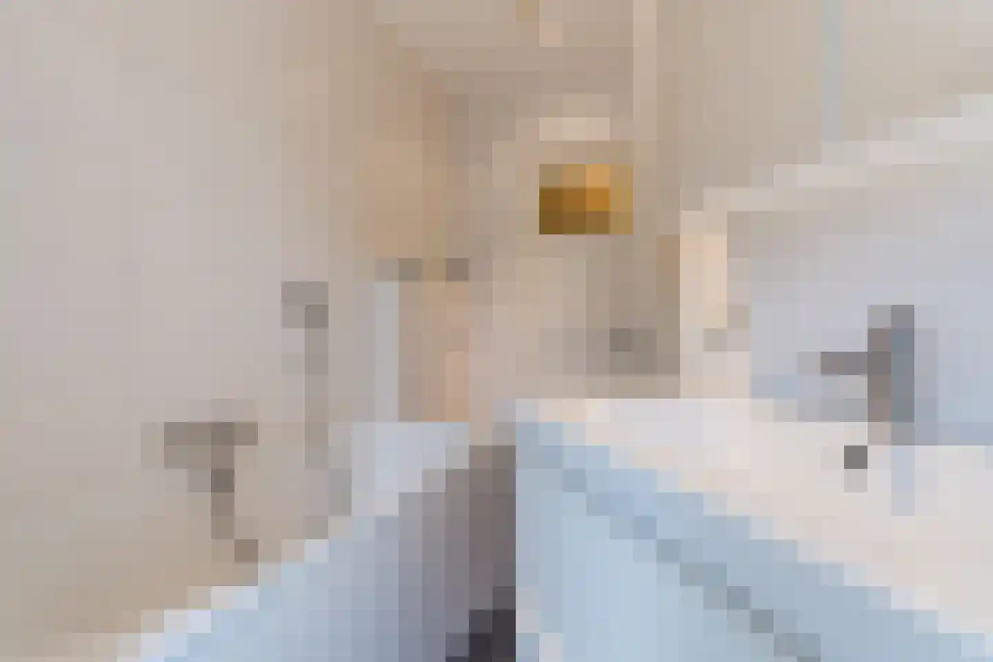 Parallelweg 15 Geldrop thumbnail 37