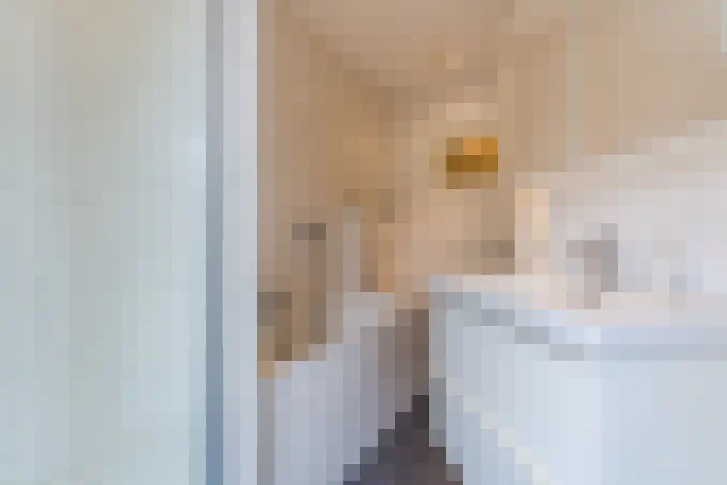 Parallelweg 15 Geldrop thumbnail 38