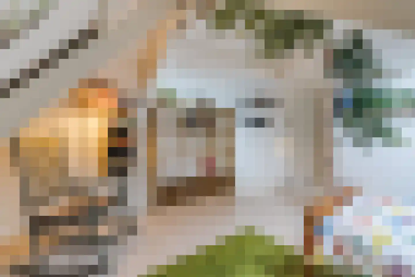 Parallelweg 15 Geldrop thumbnail 44