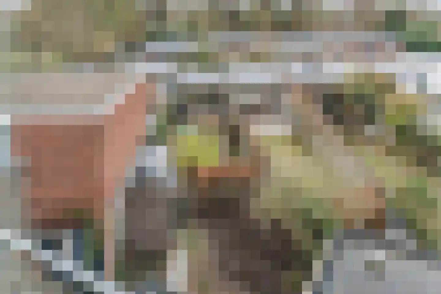 Parallelweg 15 Geldrop thumbnail 47