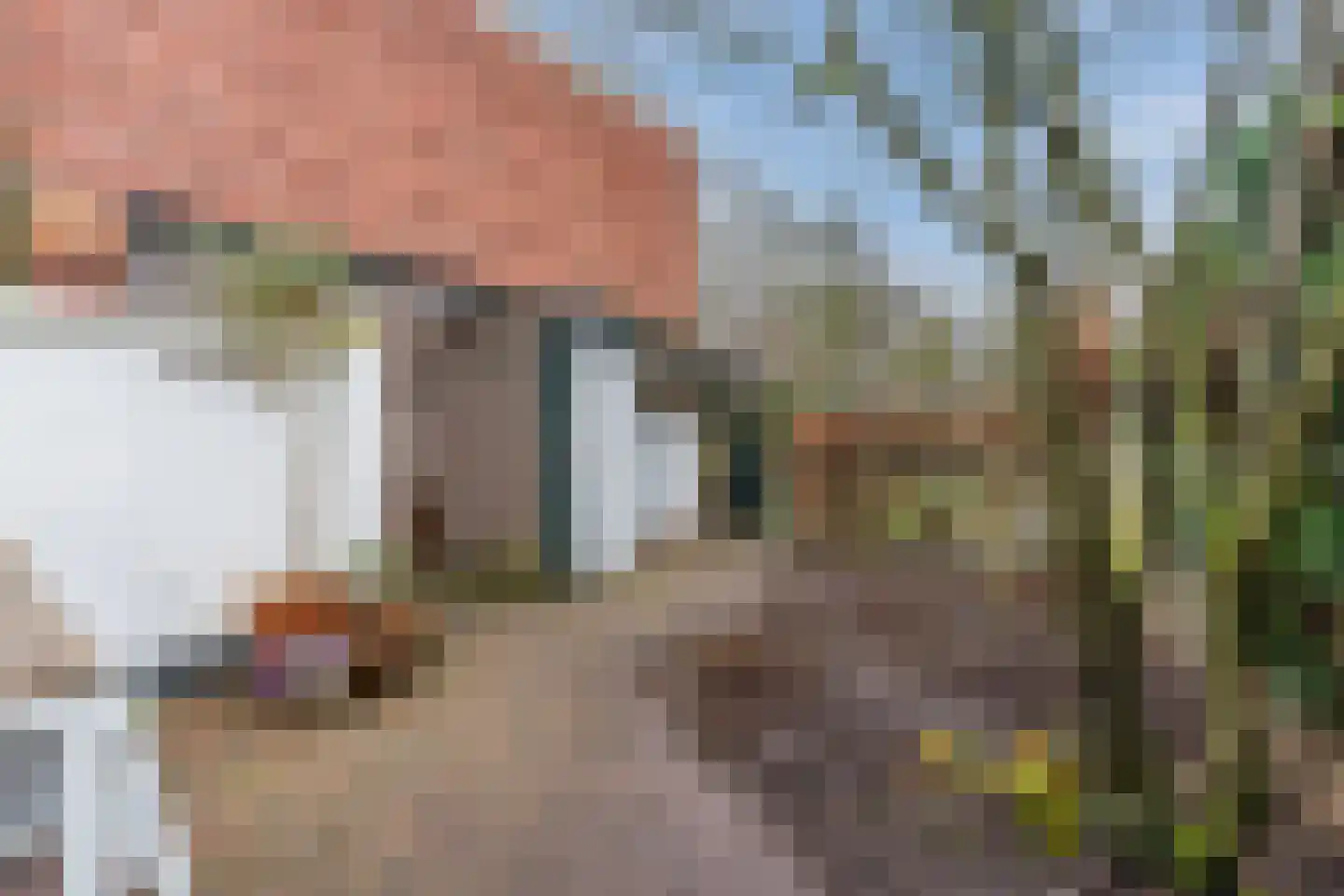 Parallelweg 15 Geldrop thumbnail 51