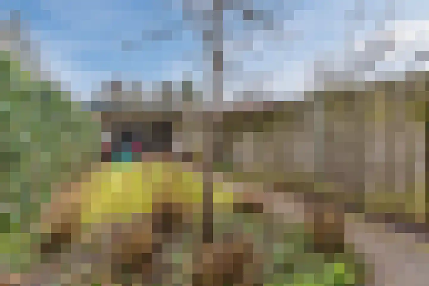 Parallelweg 15 Geldrop thumbnail 54