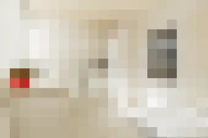 Parallelweg 15 Hillegom thumbnail 16