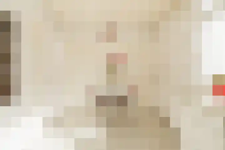 Parallelweg 15 Hillegom thumbnail 17