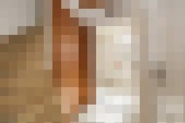 Parallelweg 15 Hillegom thumbnail 18