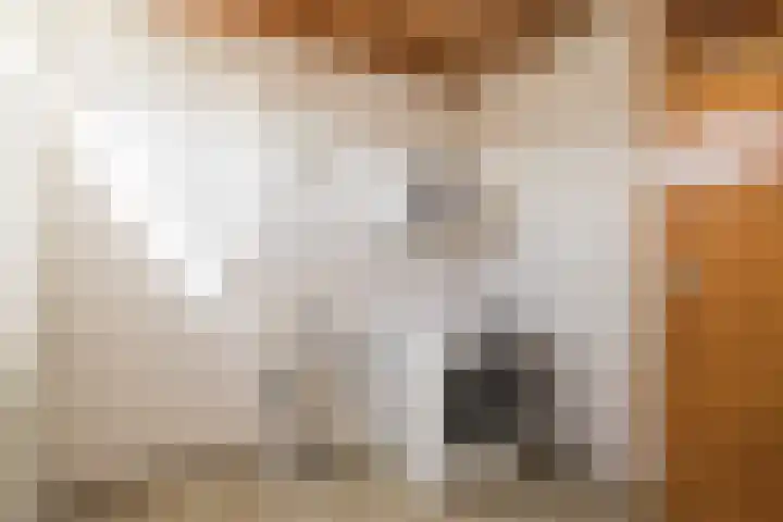 Parallelweg 15 Hillegom thumbnail 21