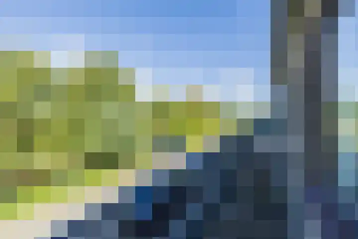 Parallelweg 15 Hillegom thumbnail 29