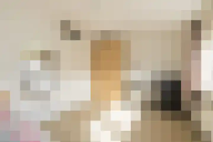 Parallelweg 15 Hillegom thumbnail 33