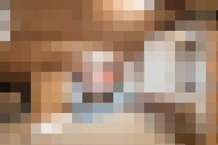 Parallelweg 15 Hillegom thumbnail 41