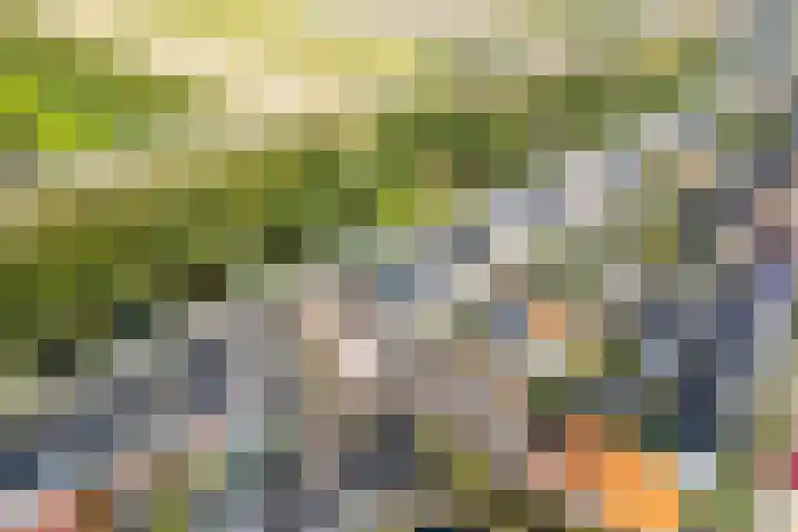 Parallelweg 15 Hillegom thumbnail 50