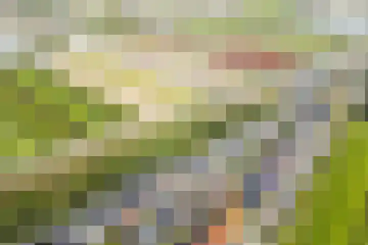 Parallelweg 15 Hillegom thumbnail 52