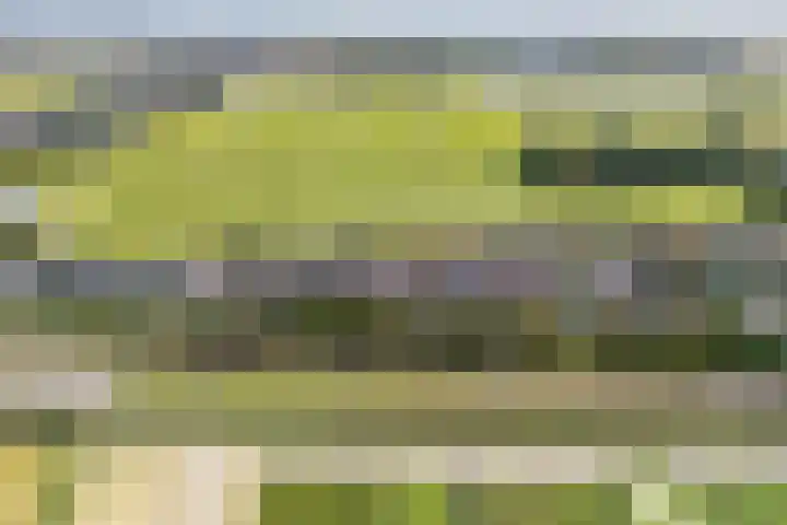 Parallelweg 15 Hillegom thumbnail 53