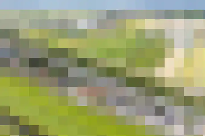 Parallelweg 15 Hillegom thumbnail 54