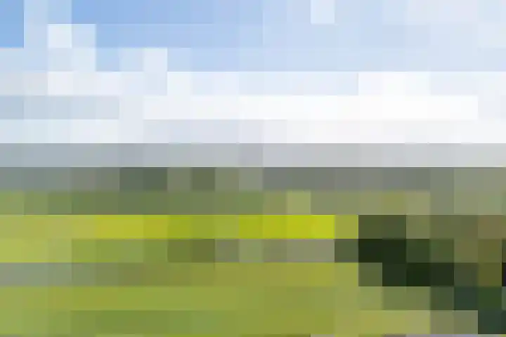 Parallelweg 15 Hillegom thumbnail 55