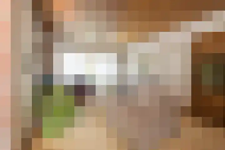 Parallelweg 15 Hillegom thumbnail 6