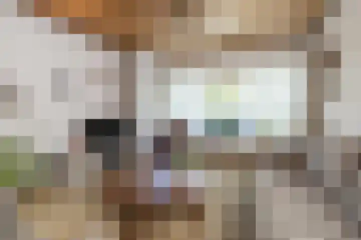 Parallelweg 15 Hillegom thumbnail 8