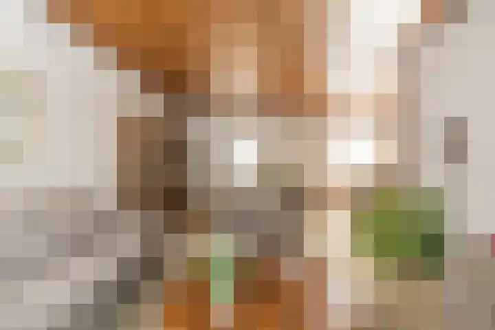 Parallelweg 15 Hillegom thumbnail 9