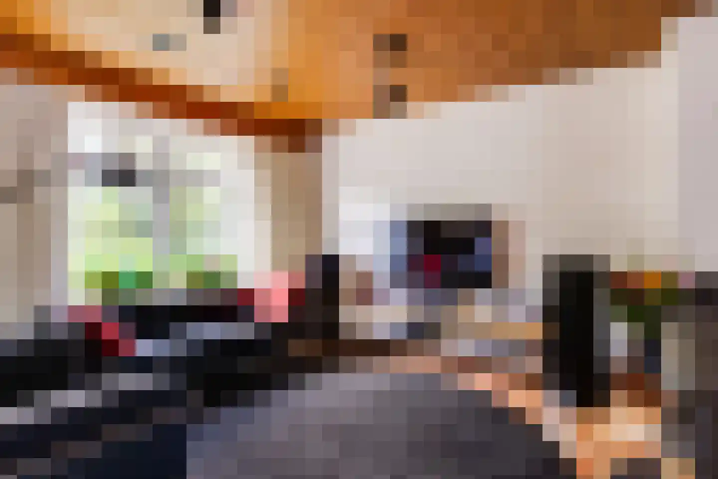 Parallelweg 15 Nuenen thumbnail 15