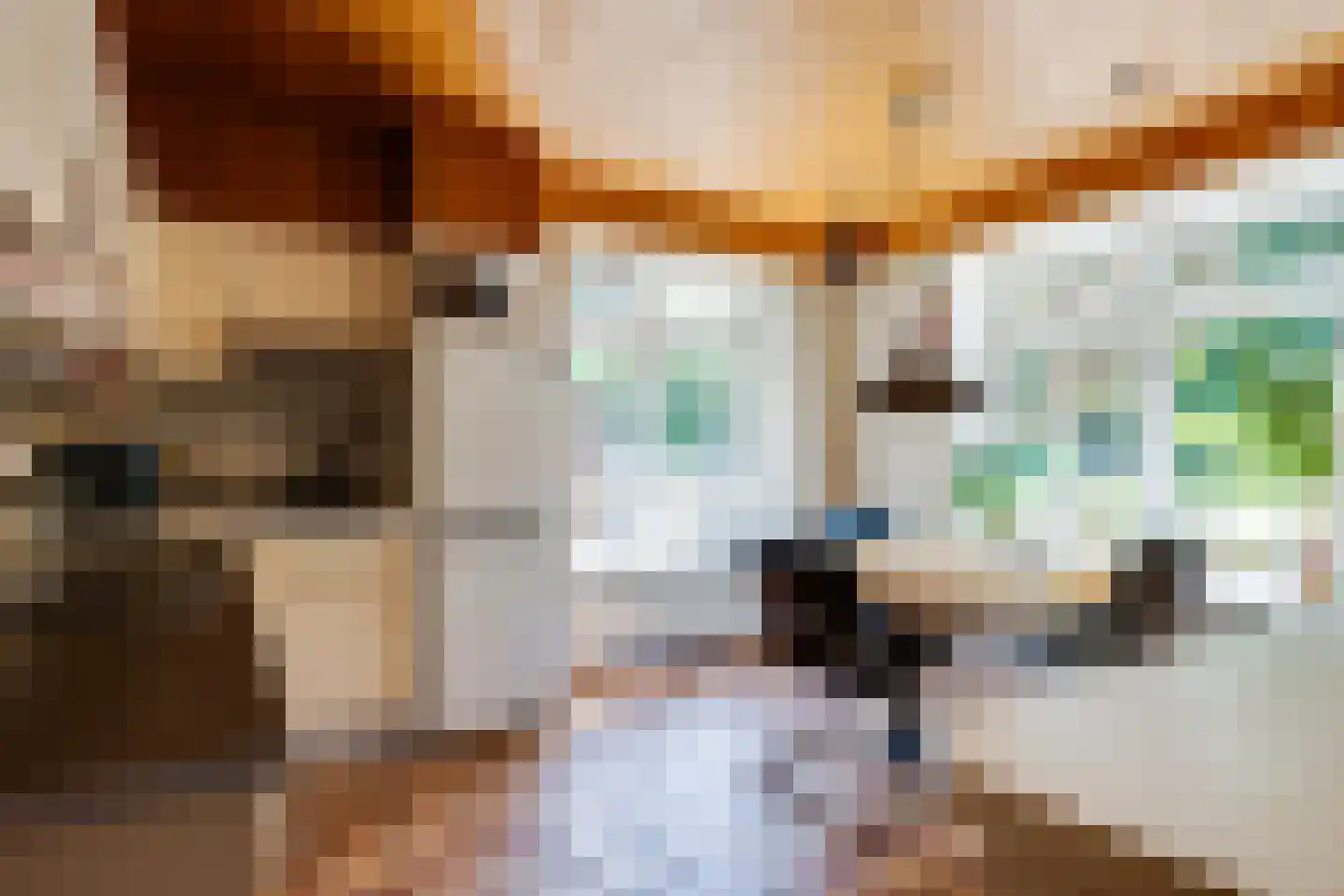 Parallelweg 15 Nuenen thumbnail 21