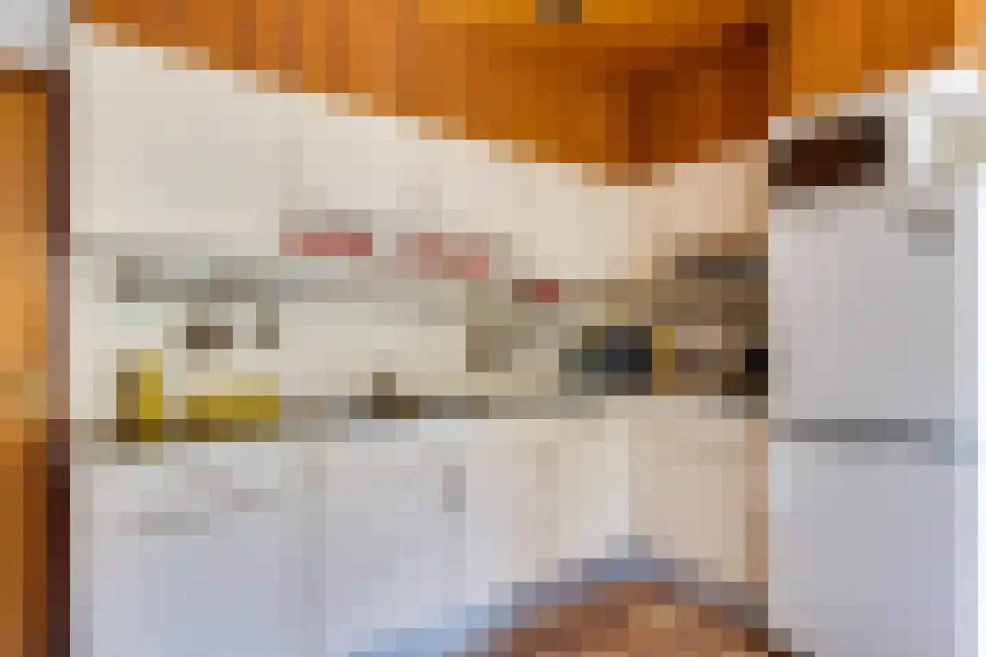 Parallelweg 15 Nuenen thumbnail 22