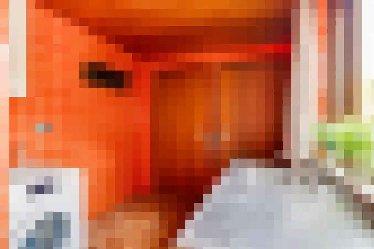 Parallelweg 15 Nuenen thumbnail 33
