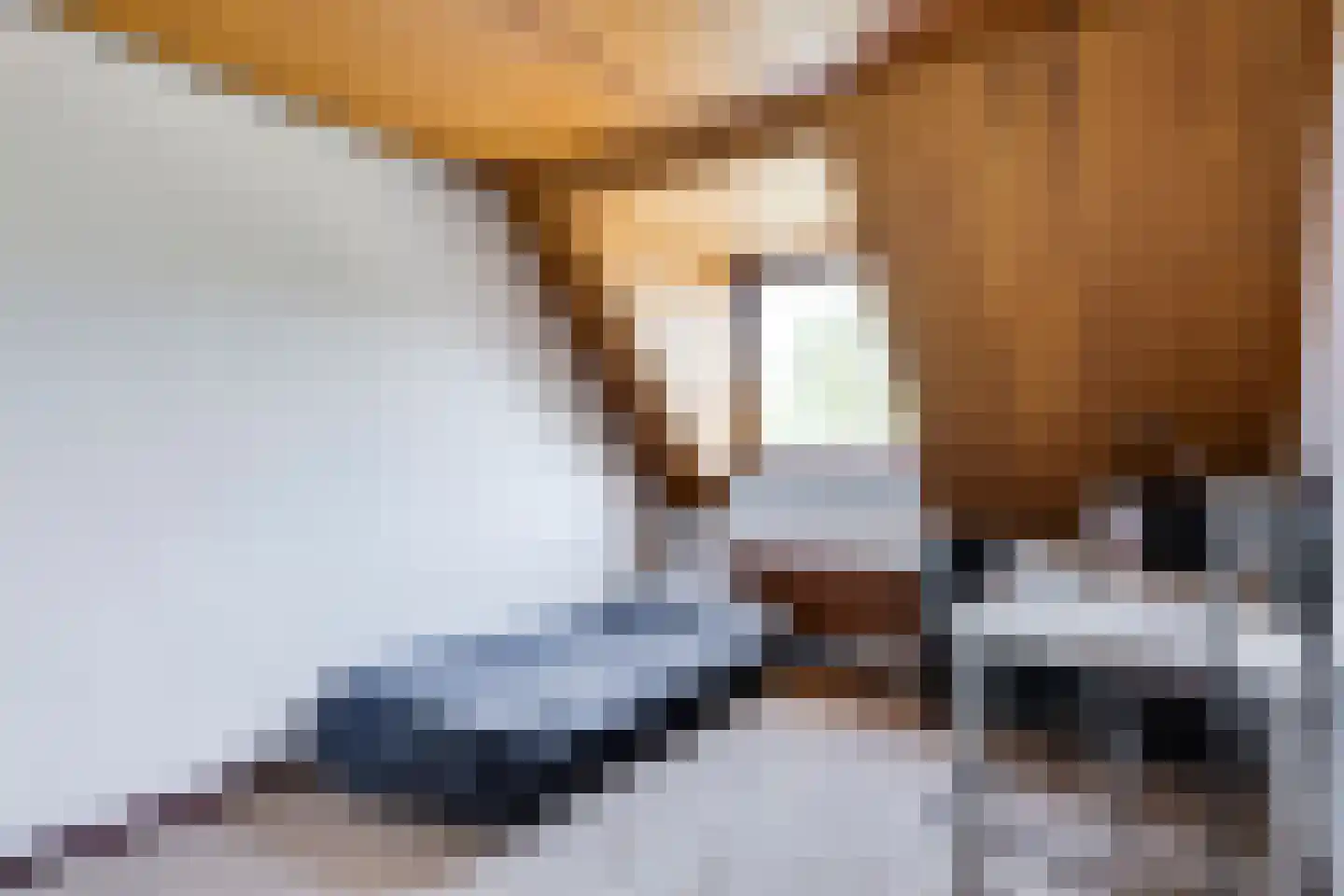 Parallelweg 15 Nuenen thumbnail 39