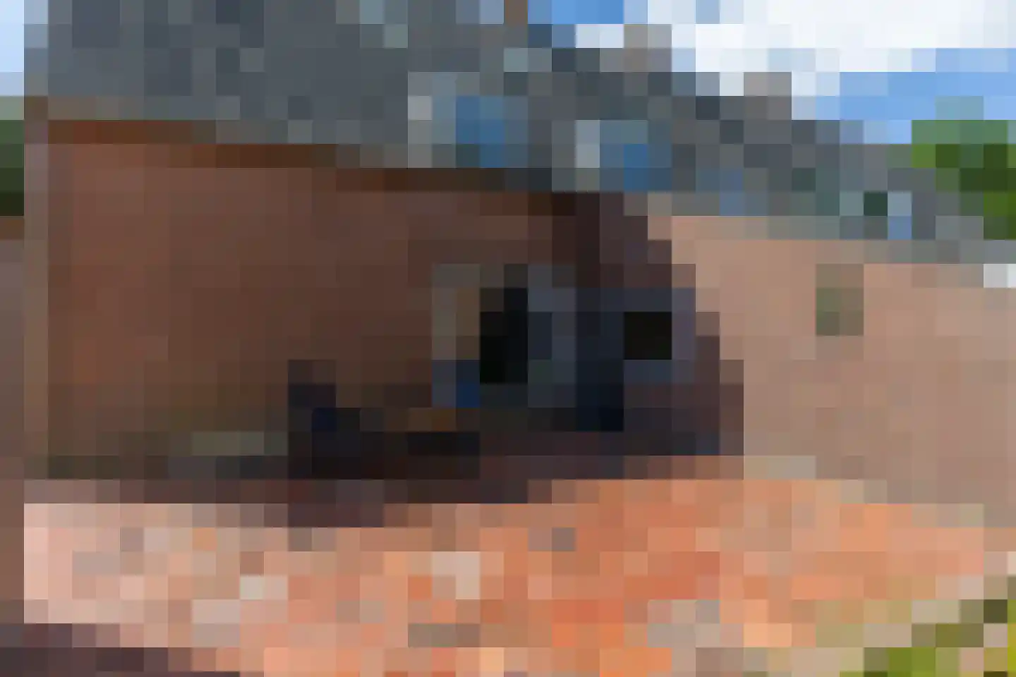 Parallelweg 15 Nuenen thumbnail 60