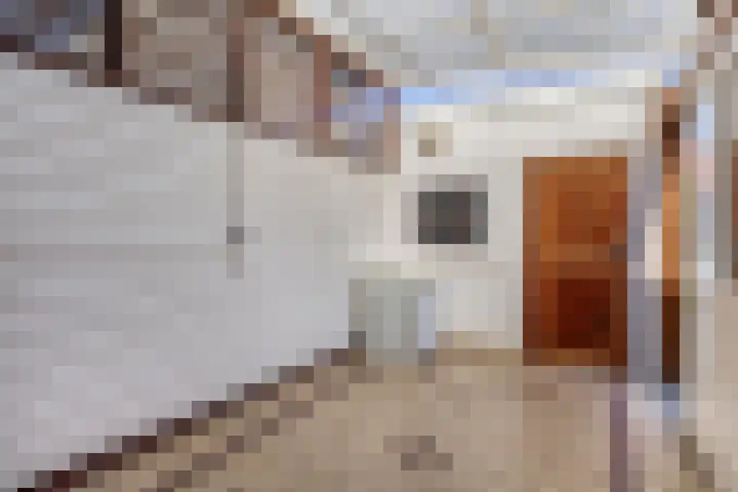 Parallelweg 15 Spijkenisse thumbnail 23