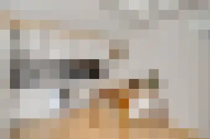 Parallelweg 15 Weert thumbnail 10