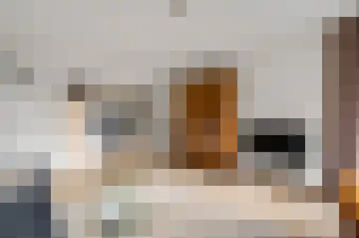 Parallelweg 15 Weert thumbnail 7