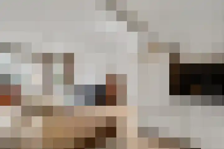 Parallelweg 15 Weert thumbnail 8