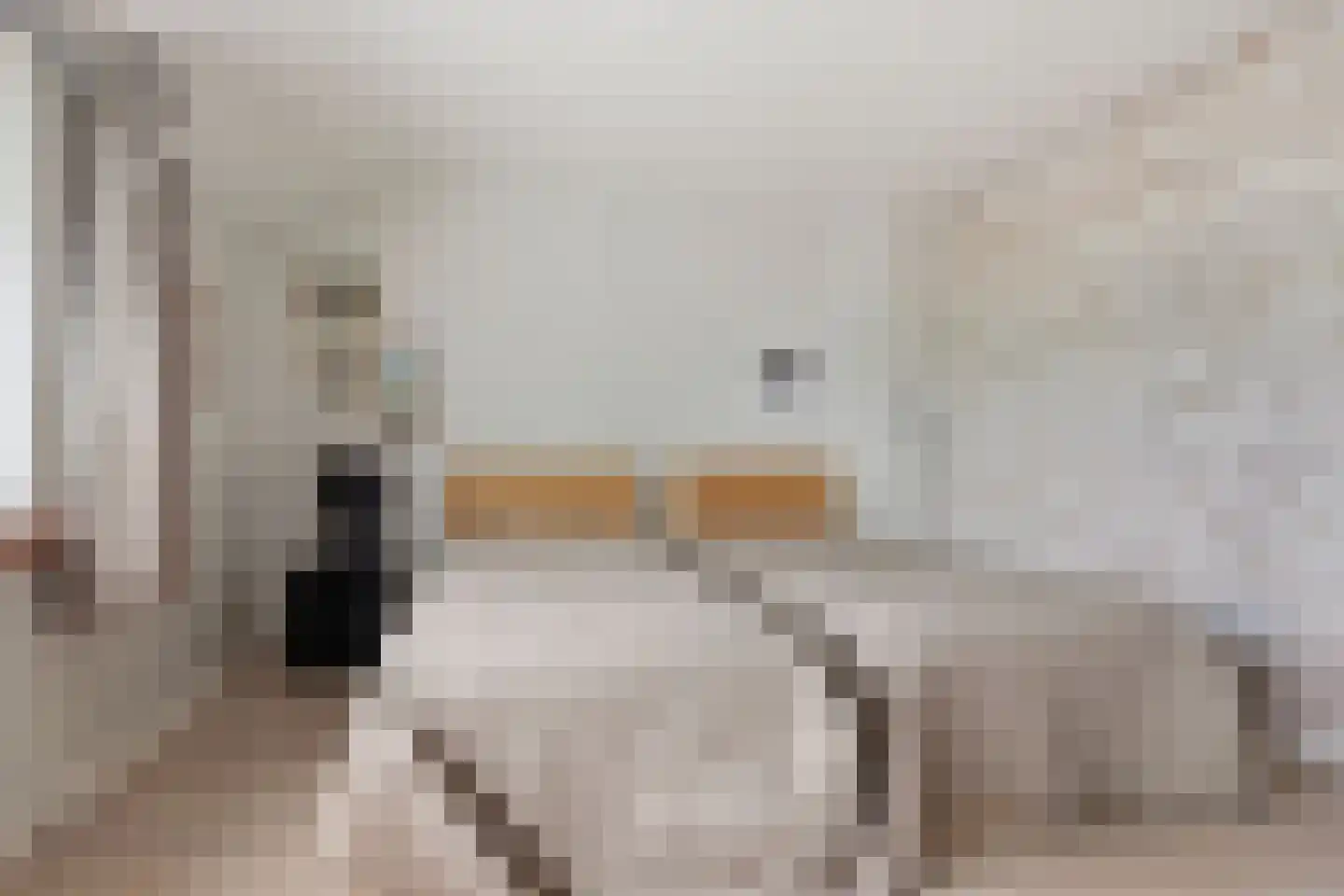Parallelweg 150 Koog aan de Zaan thumbnail 10