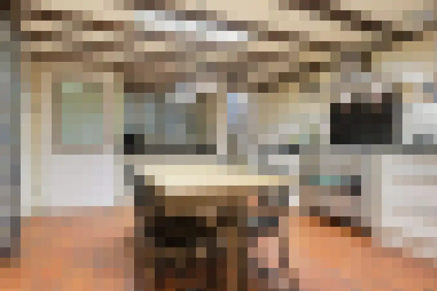 Parallelweg 150 Koog aan de Zaan thumbnail 10