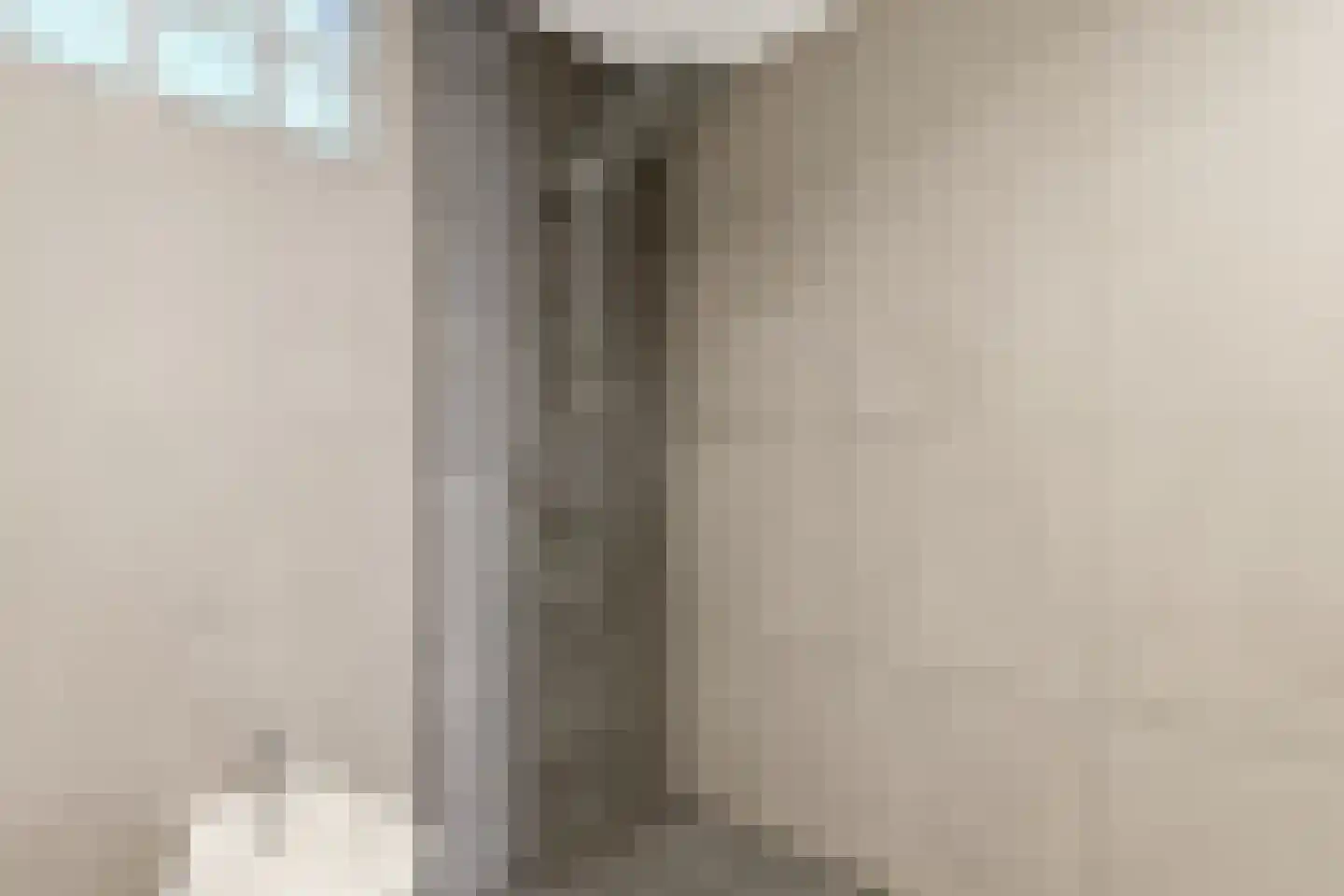 Parallelweg 150 Koog aan de Zaan thumbnail 14