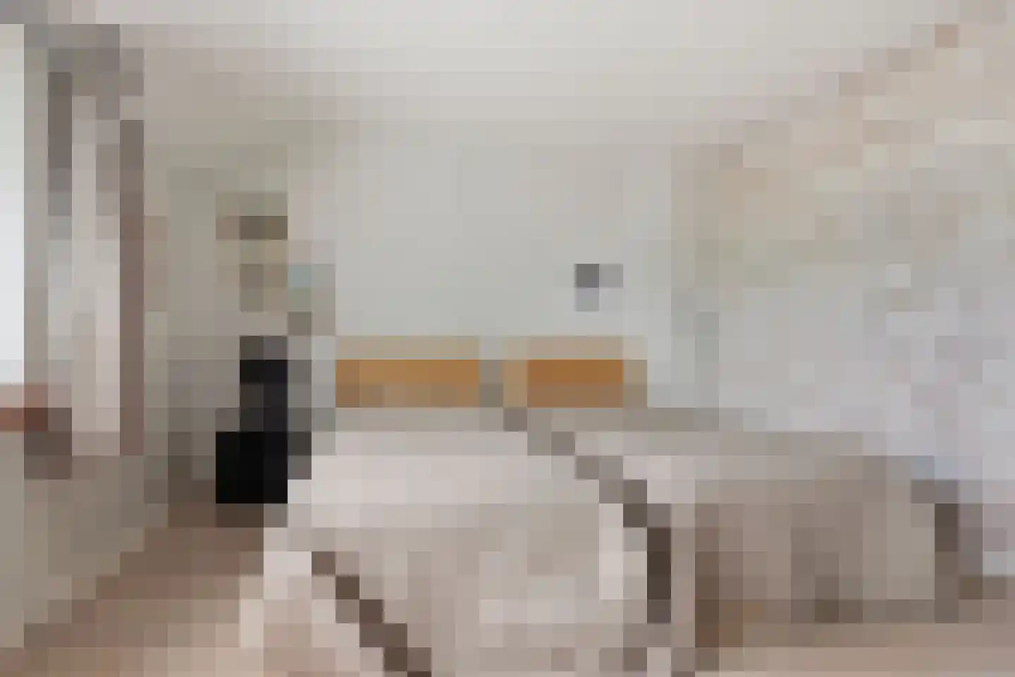 Parallelweg 150 Koog aan de Zaan thumbnail 15