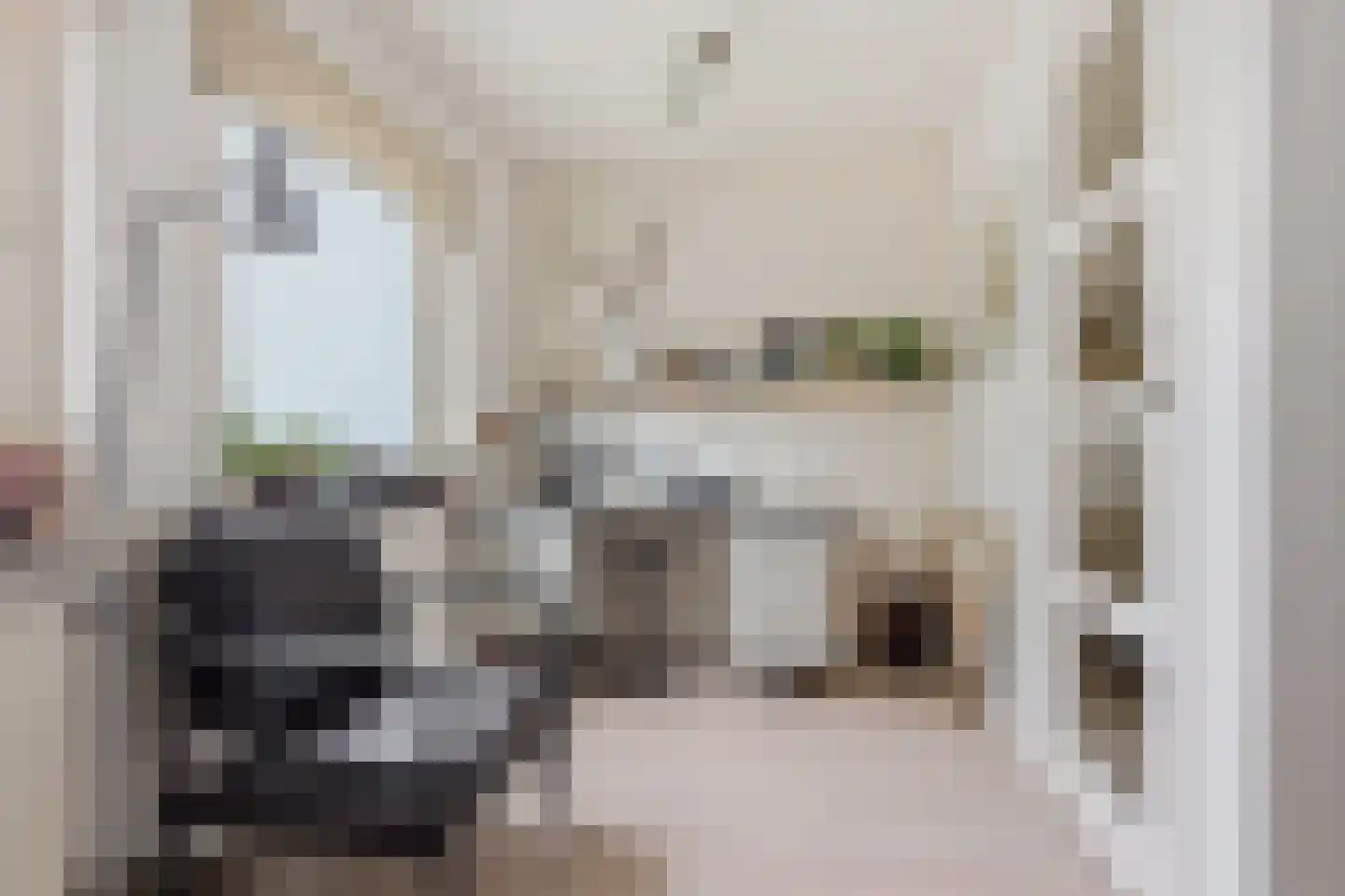 Parallelweg 150 Koog aan de Zaan thumbnail 16