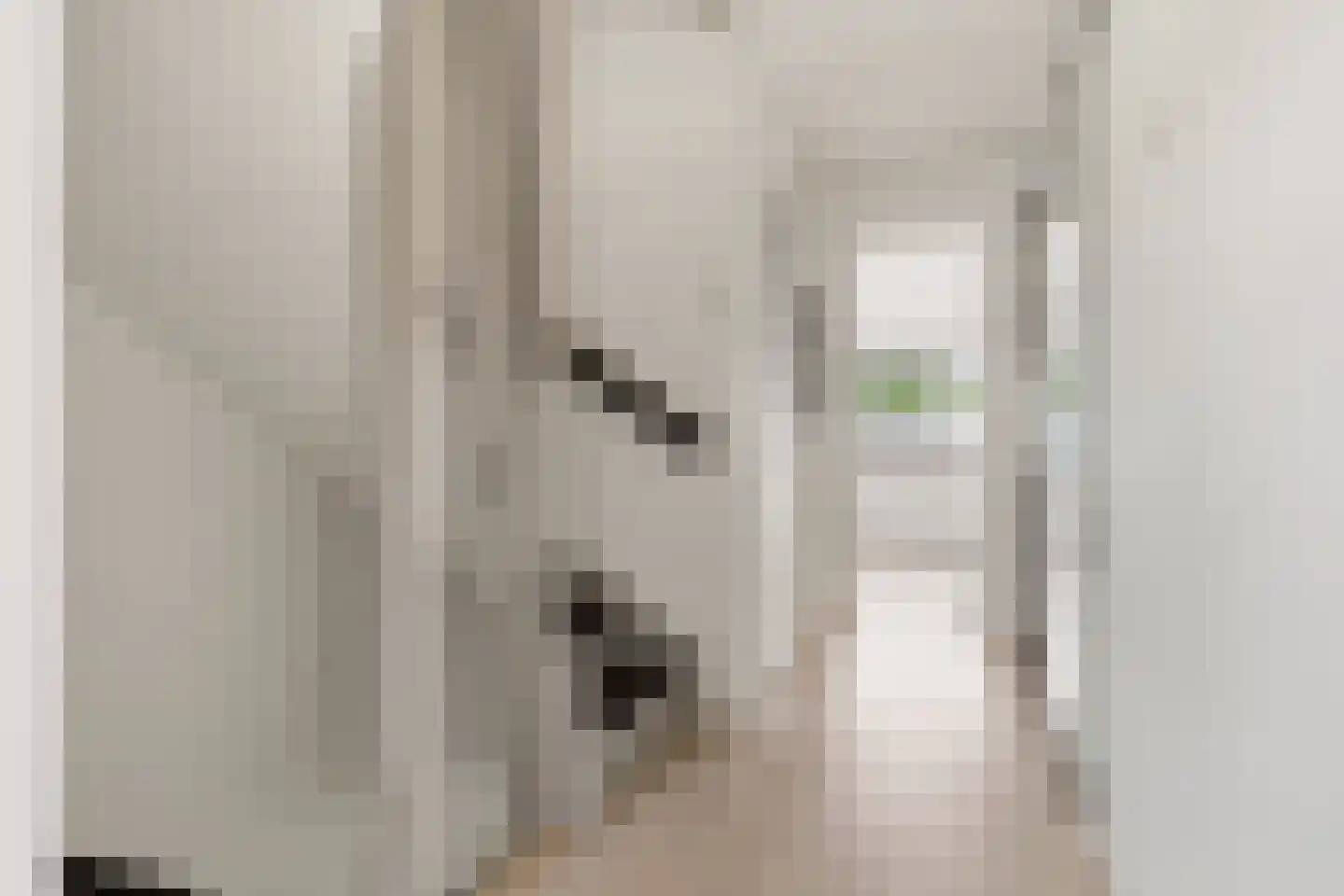 Parallelweg 150 Koog aan de Zaan thumbnail 17