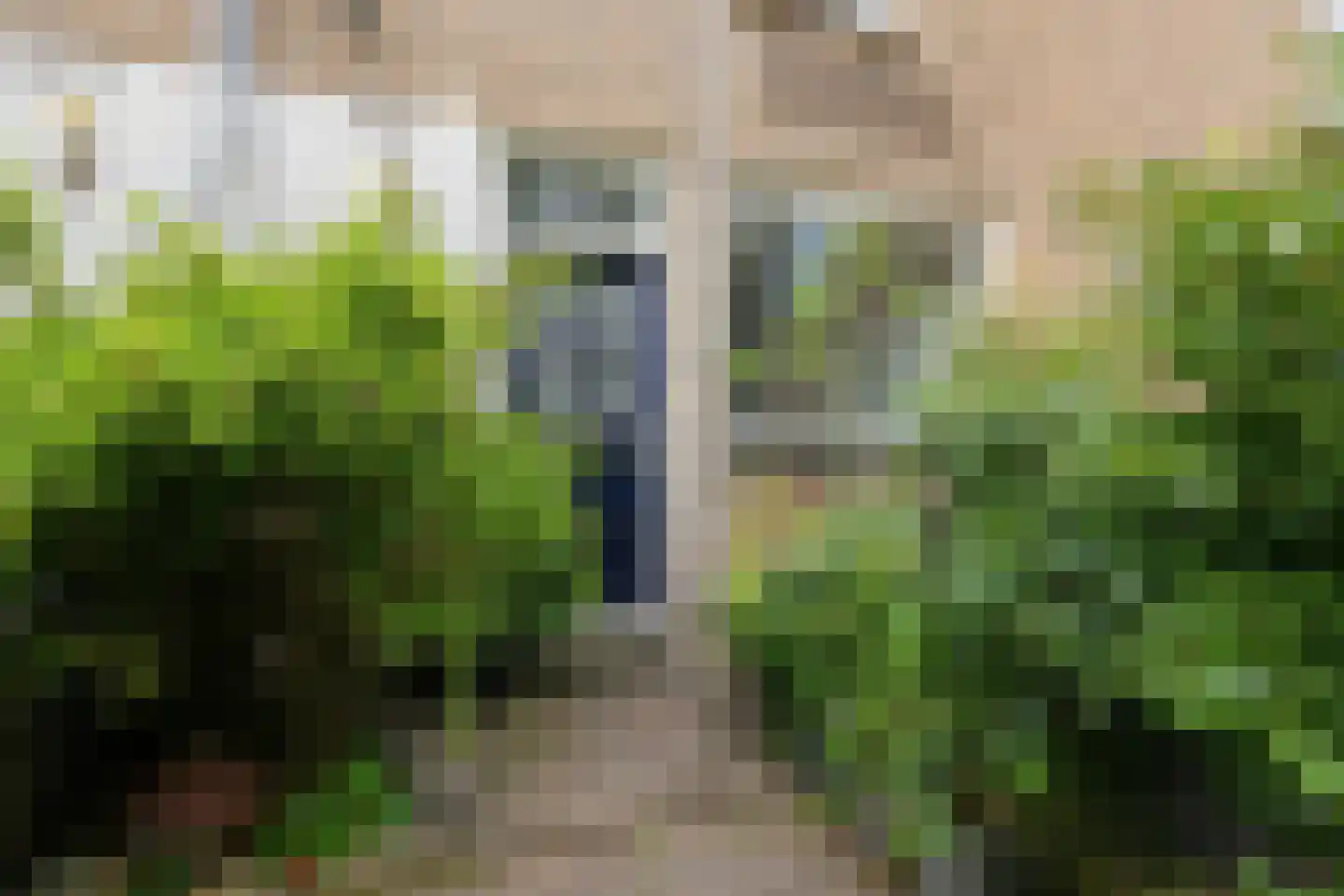 Parallelweg 150 Koog aan de Zaan thumbnail 24