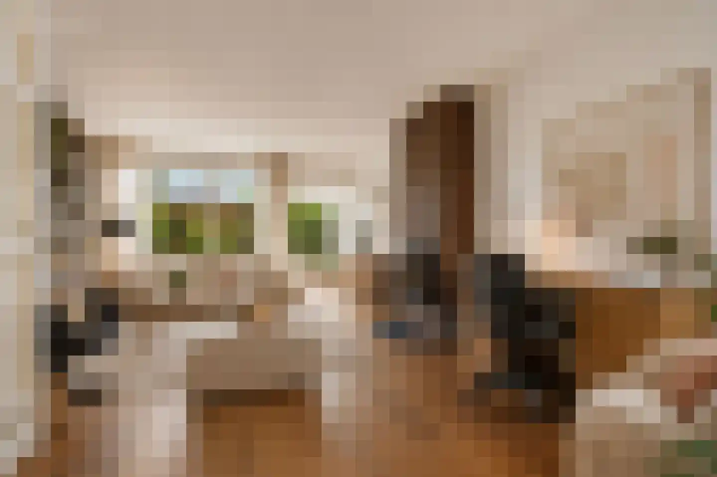 Parallelweg 150 Koog aan de Zaan foto 3