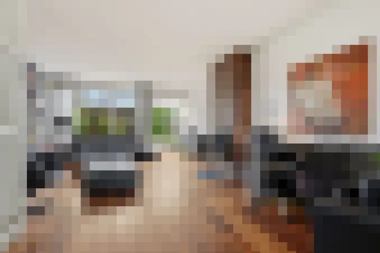 Parallelweg 150 Koog aan de Zaan thumbnail 4