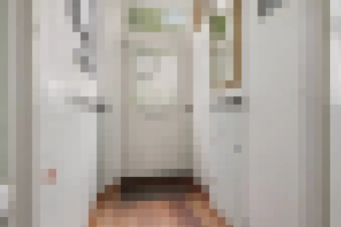 Parallelweg 150 Koog aan de Zaan thumbnail 7