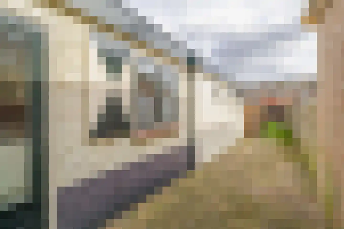 Parallelweg 151 Hillegom thumbnail 19