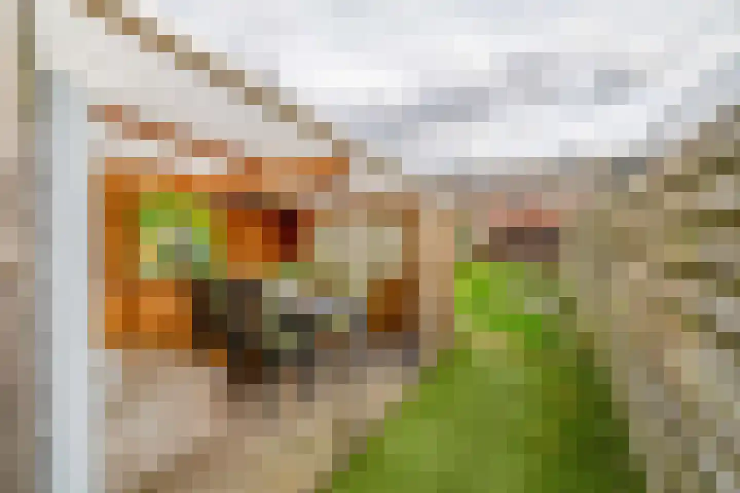 Parallelweg 151 Hillegom thumbnail 21