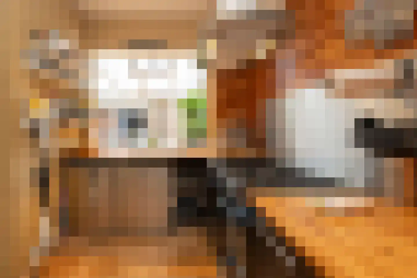 Parallelweg 16 De Steeg thumbnail 12