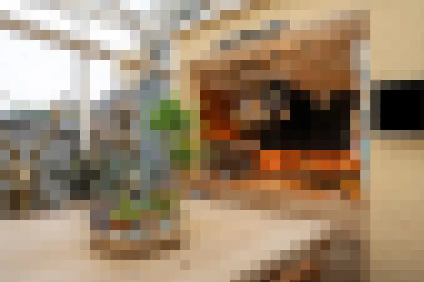 Parallelweg 16 De Steeg thumbnail 13