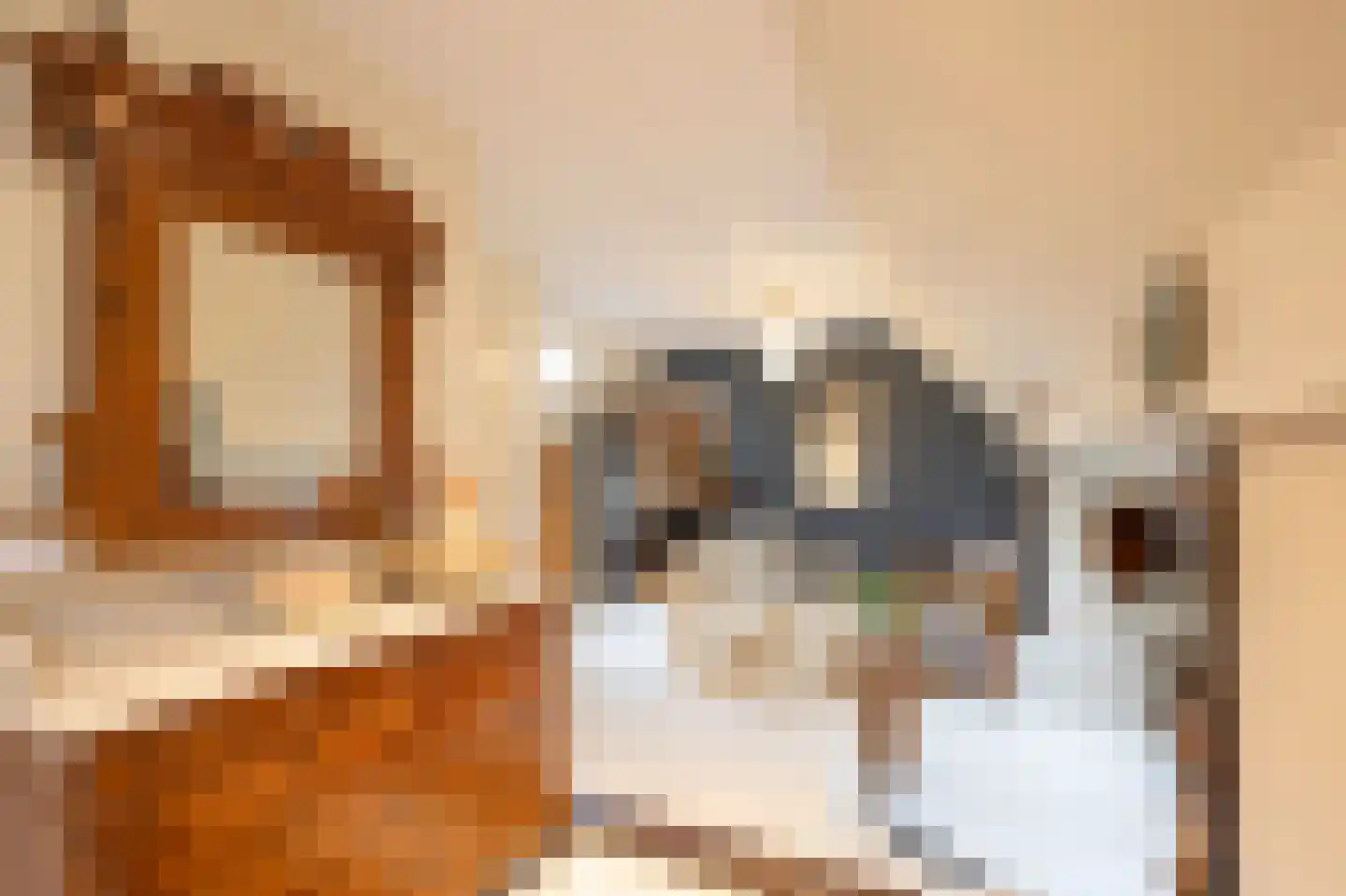 Parallelweg 16 De Steeg thumbnail 18