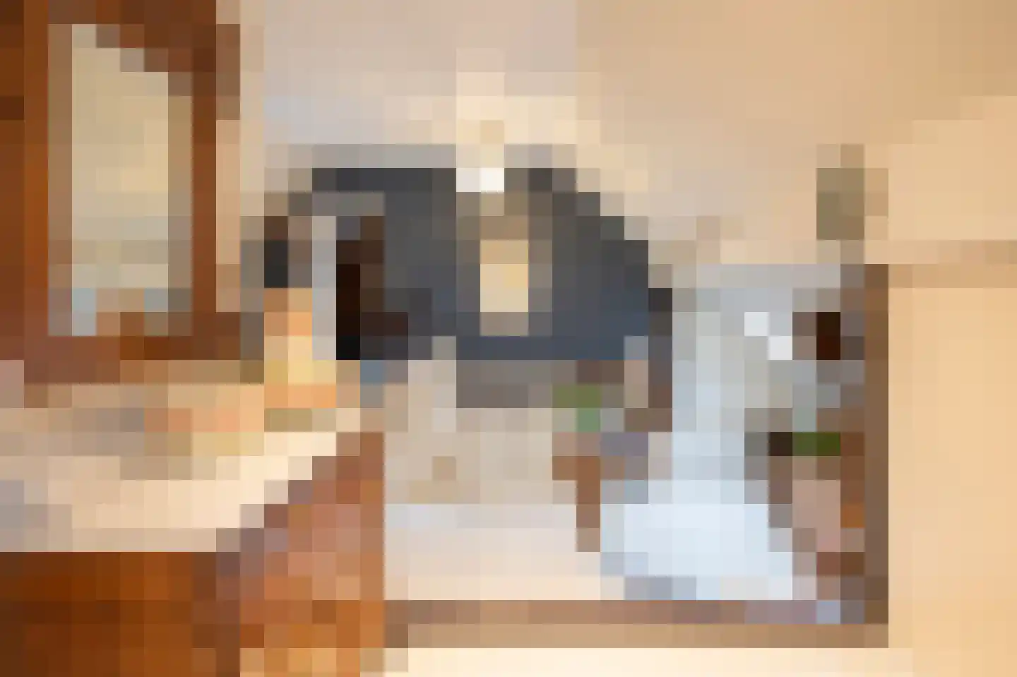 Parallelweg 16 De Steeg thumbnail 19