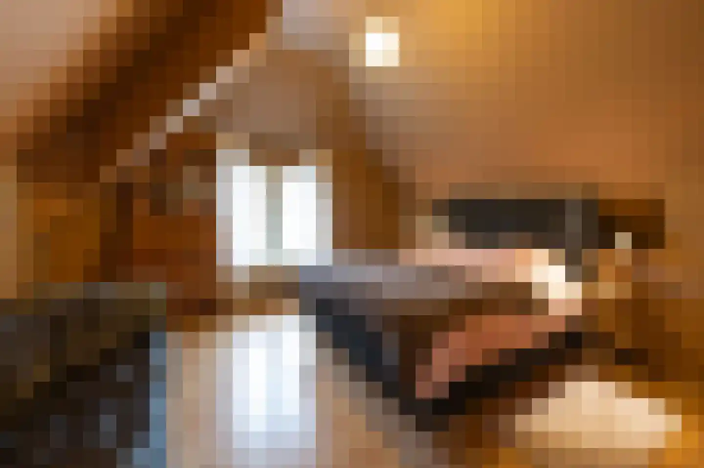 Parallelweg 16 De Steeg thumbnail 20