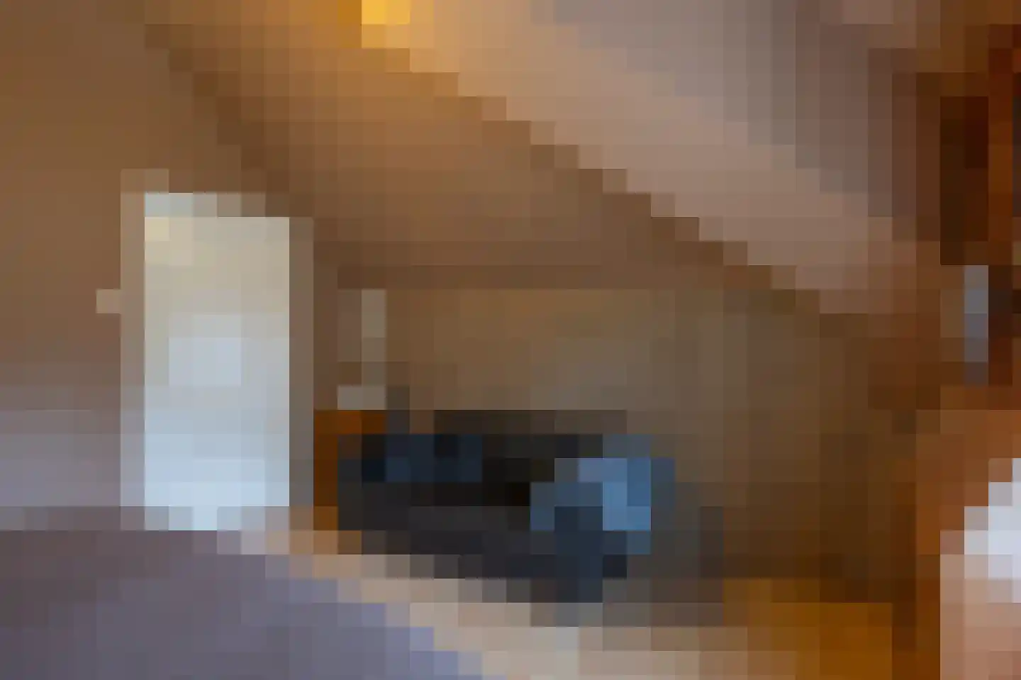 Parallelweg 16 De Steeg thumbnail 21